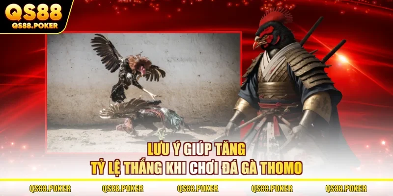 Lưu ý giúp tăng tỷ lệ thắng khi chơi đá gà Thomo